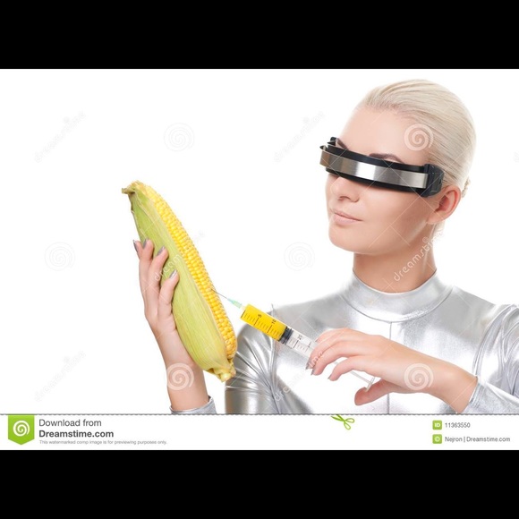 cheesewheeezer